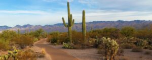 Tempe
