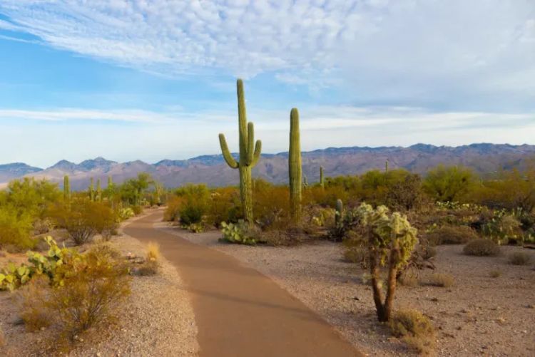 tempe-AZ